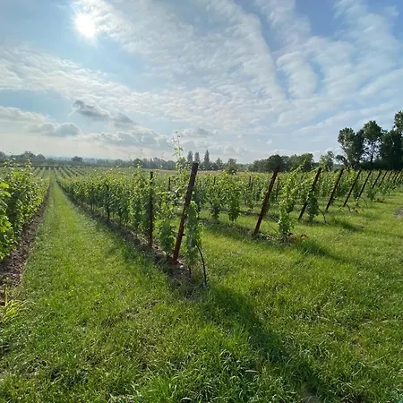 Alloggio per agriturismo San Pietro Desenzano del Garda