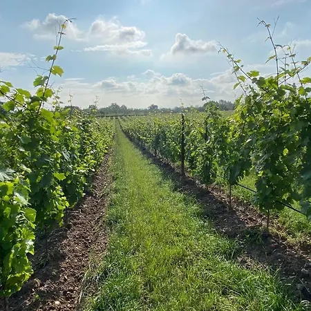 Alloggio per agriturismo San Pietro *