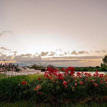Farm stay San Pietro
